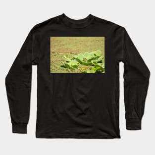 Prince Of The Lily Pods Long Sleeve T-Shirt